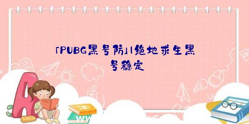 「PUBG黑号防」|绝地求生黑号稳定